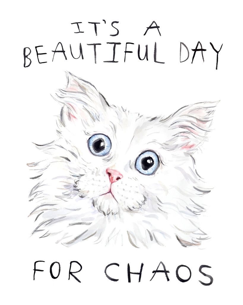 unhinged cat, staring at you straight on, with hand lettered block text that reads "It's a beautiful day for chaos"