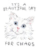 unhinged cat, staring at you straight on, with hand lettered block text that reads "It's a beautiful day for chaos"