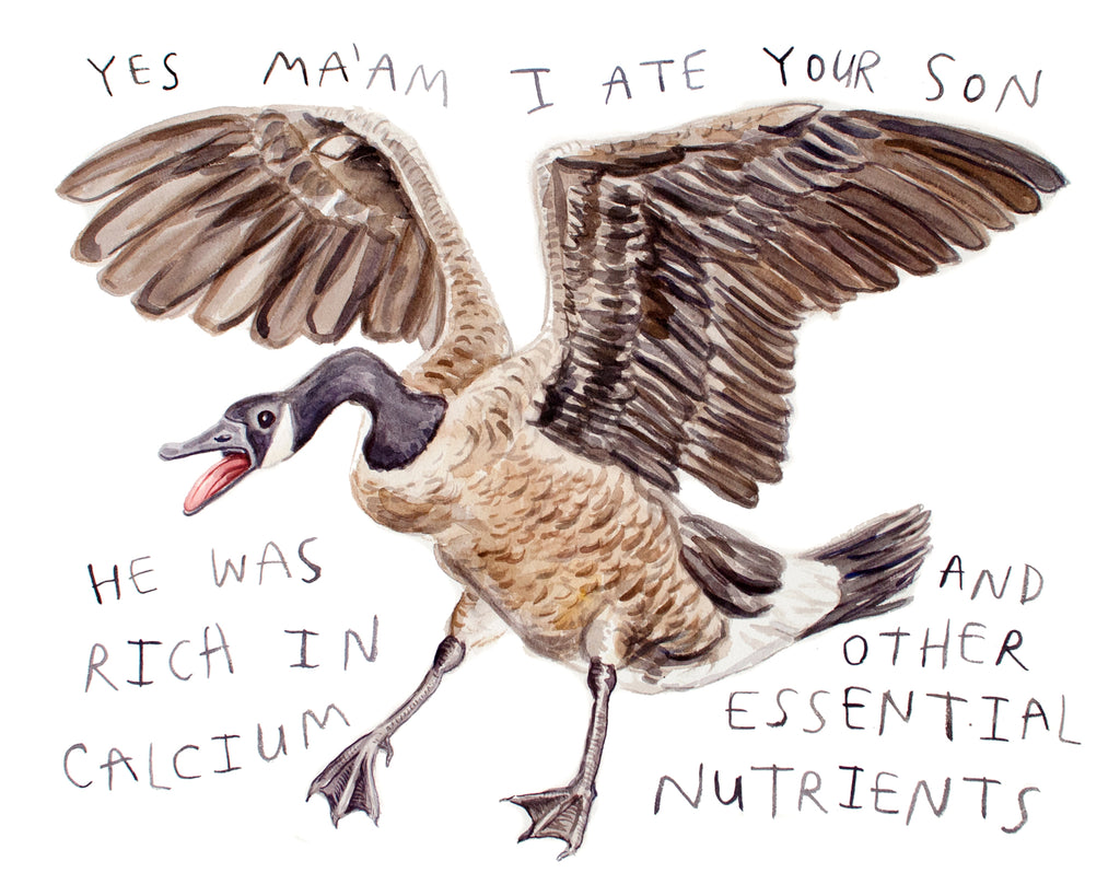 Goose Ate Your Son - Original Watercolour Painting