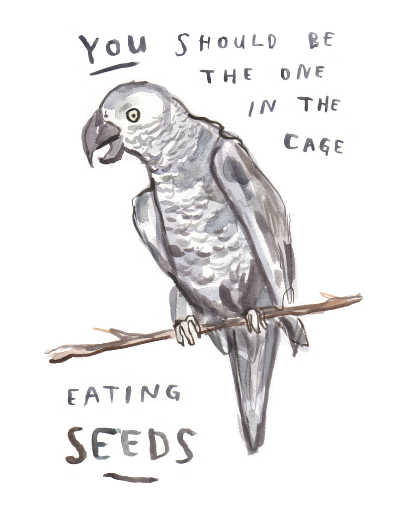 Parrot Seeds - Original Watercolour Painting