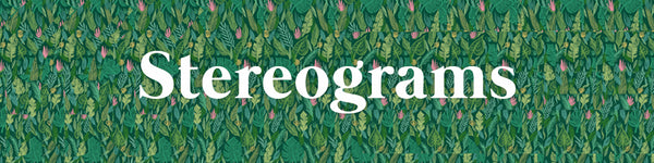 Stereograms