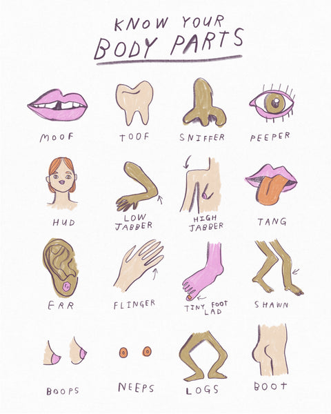 Body part anatomy vocabulary illustration by artist Heather Buchanan, minimal simple illustration of body parts by artist Heather Buchanan, limited colour palette 