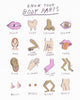 Body part anatomy vocabulary illustration by artist Heather Buchanan, minimal simple illustration of body parts by artist Heather Buchanan, limited colour palette 