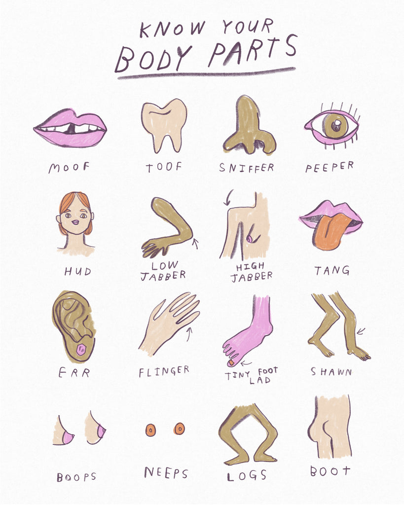 Body part anatomy vocabulary illustration by artist Heather Buchanan, minimal simple illustration of body parts by artist Heather Buchanan, limited colour palette 
