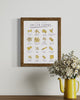pasta illustration print, kitchen art, pasta shape names, funny kitchen art, cute print for the kitchen