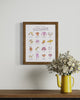 A framed image of an illustration by Heather Buchanan showing different Garments of clothing and the totally wrong silly names for each one. A funny ridiculous art print 