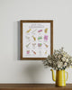 Funny illustration print with bright drawings of musical instruments and ridiculous names for all of the instruments