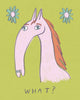 Drawing of a pink horse with an incredibly long face and two teal flowers on a green background, and lettering that reads “What?” Drawing by Heather Buchanan