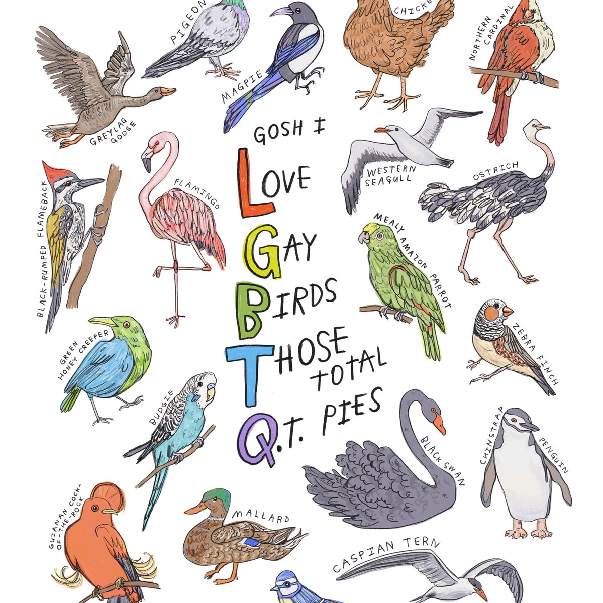 LGBTQ Bird Lover - Illustration Print - Gay Birds– Heather Buchanan