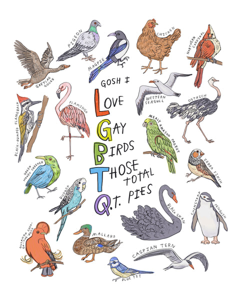 art print of gay birds with text that says LGBTQ acronym and a drawing illustration of many different birds that all have homosexual behaviour. there is a gay penguin, a lesbian seagull, a bilateral gynandromorph cardinal, a gay black swan, a greylag goose, flamingo, parrot, zebra finch, caspian tern, intersex mallard, ostrich, magpie, pigeon, chicken, green honey creeper, guianan cock of the rock, budgie, black rumped flameback, and other gay birds.