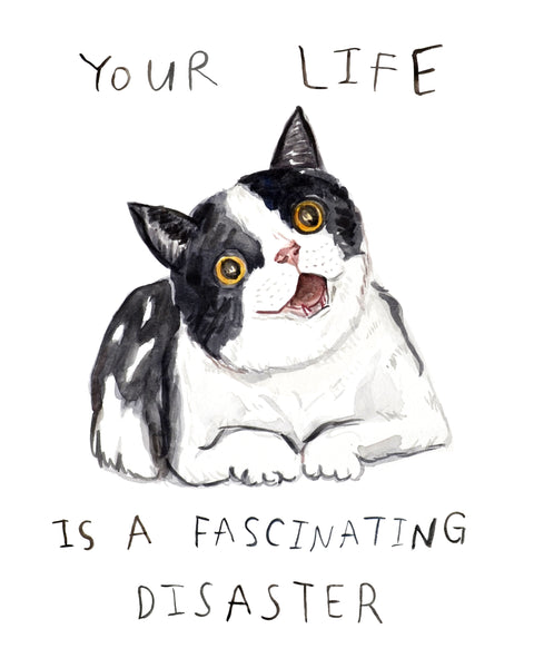Fascinating Disaster Cat - Art Print