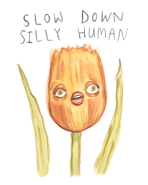 Slow Down Silly Human - Limited Edition Art Print