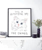 Chaos Cat art print in a black frame in a modern black and white room