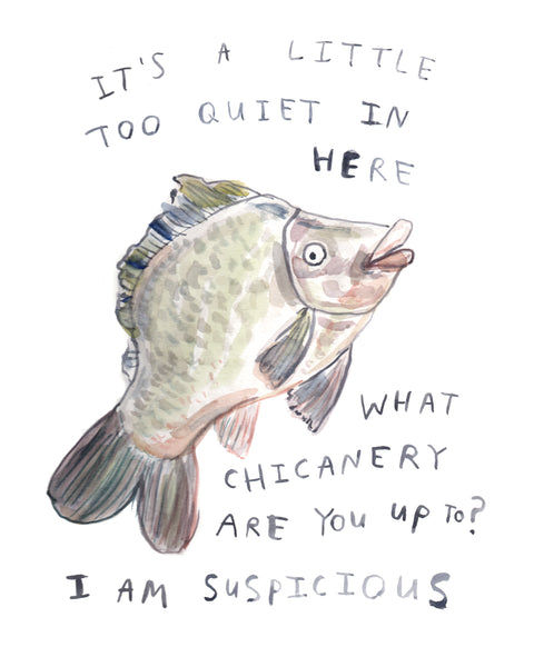 Suspicious Fish - Original Watercolour Painting