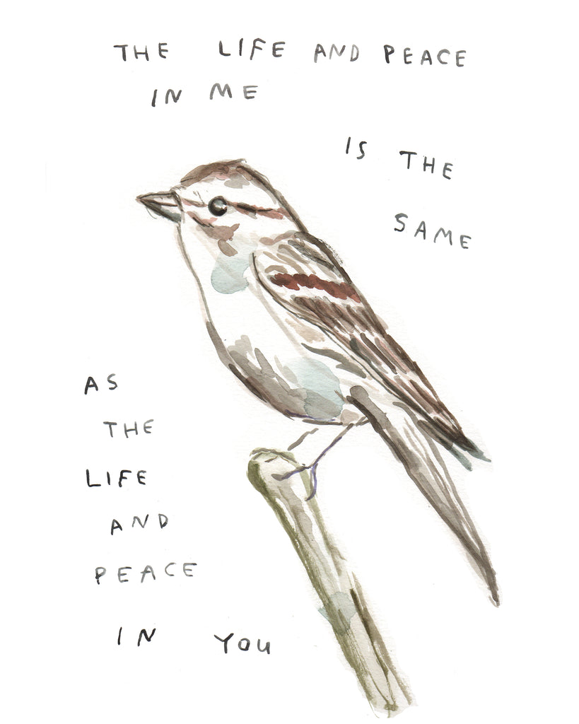 Life and Peace Sparrow - Limited Edition Art Print